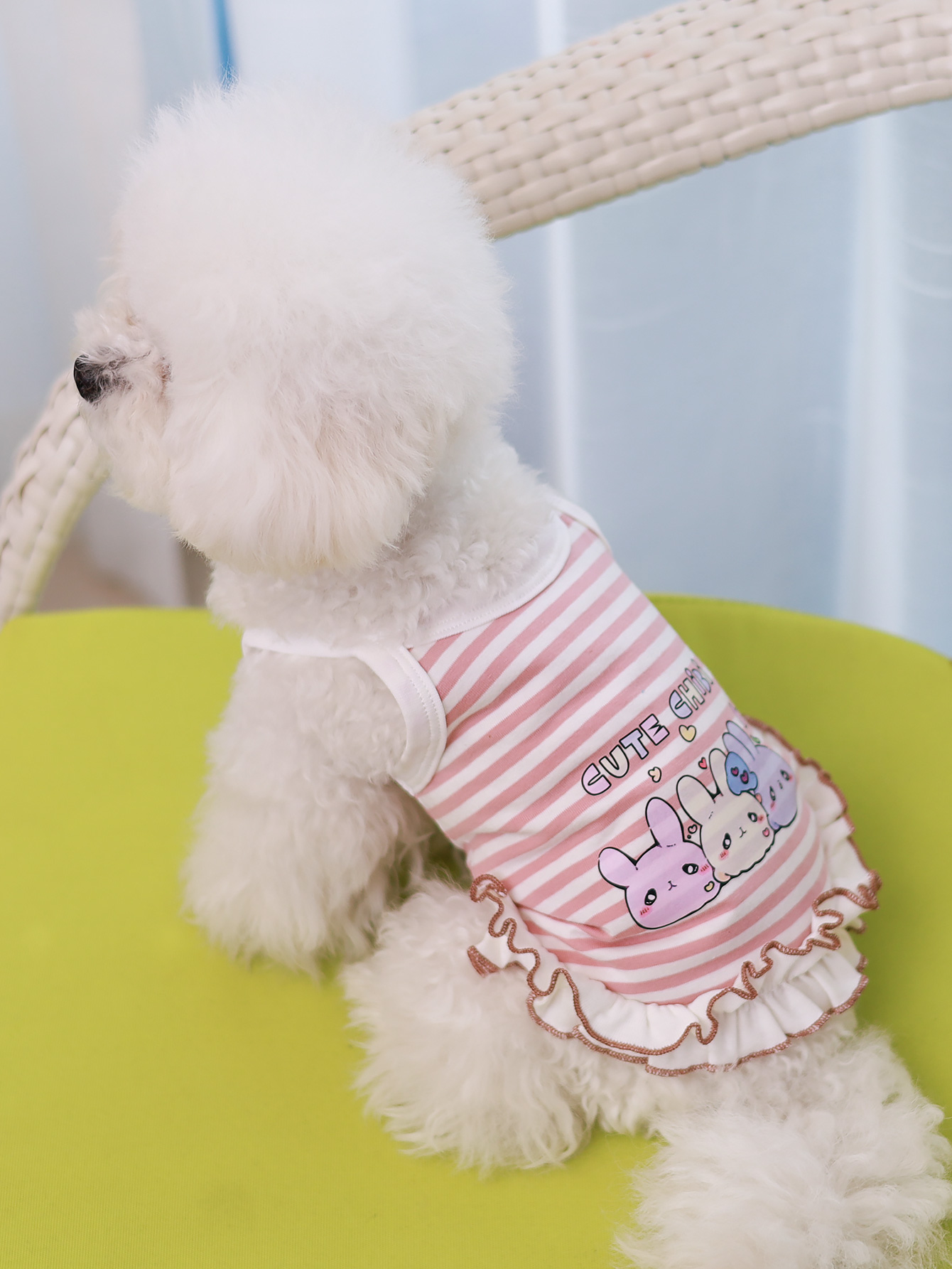 Colete para cães, roupas para  - Summer Clothing Material avaliação e preço