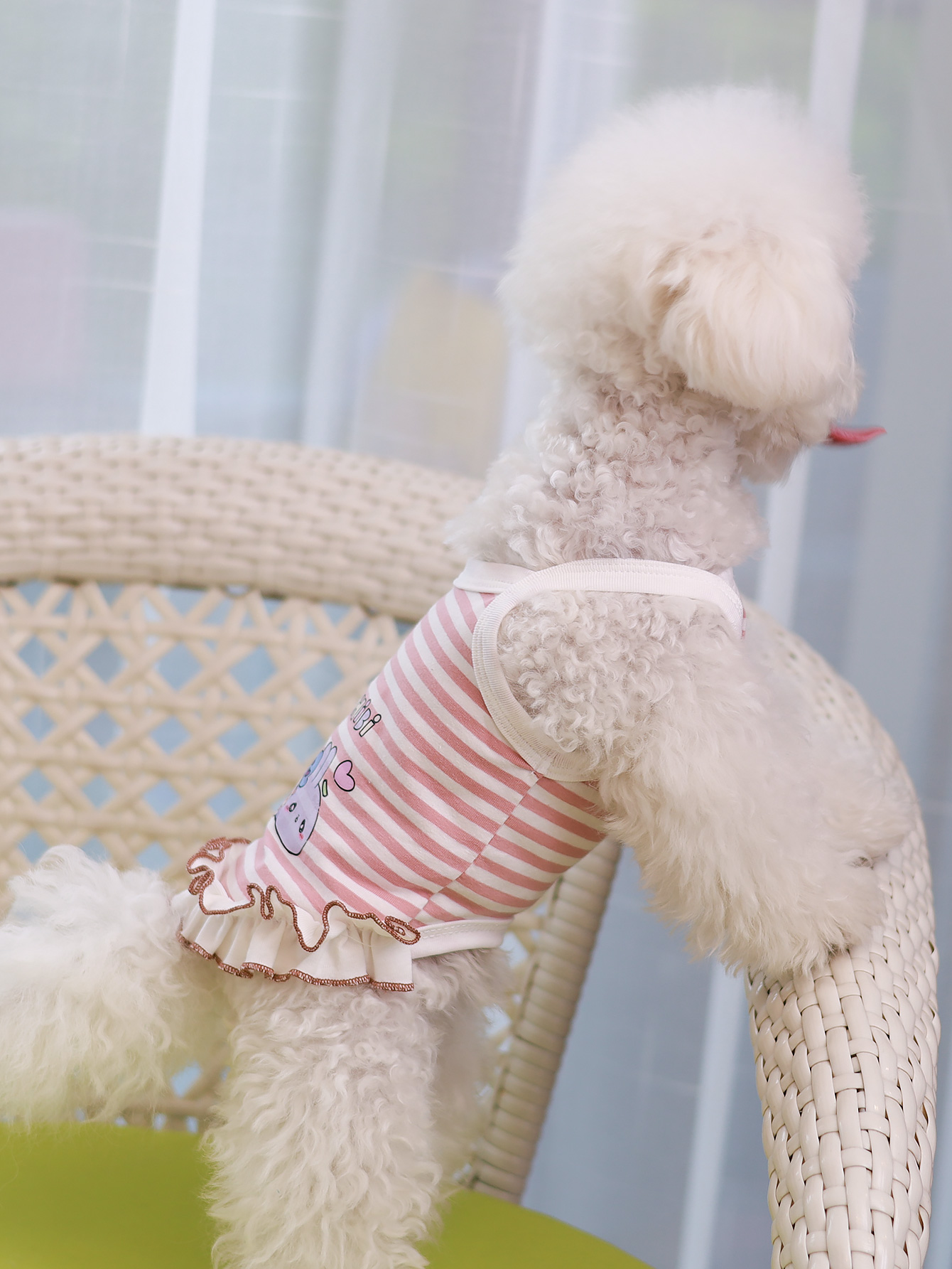 Colete para cães, roupas para  - Summer Clothing Material avaliação e preço