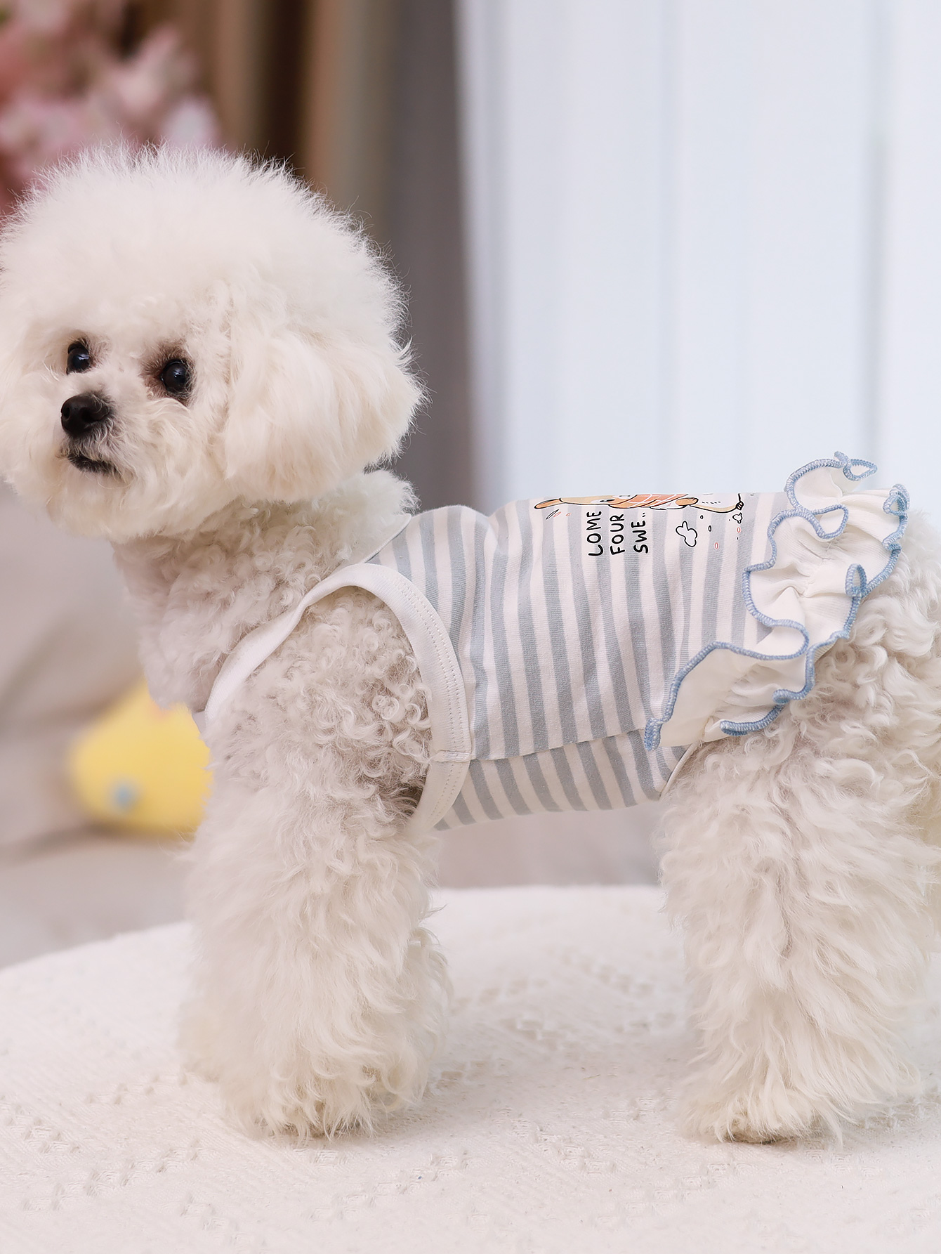 Colete para cães, roupas para  - Summer Clothing Material avaliação e preço